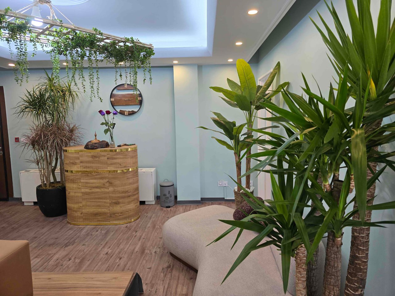 استخدام پرسنل حرفه ایی
