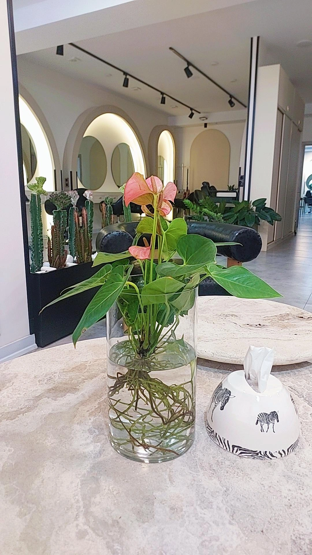 استخدام پرسنل و ارایشگران حرفه ای و مشتری دار