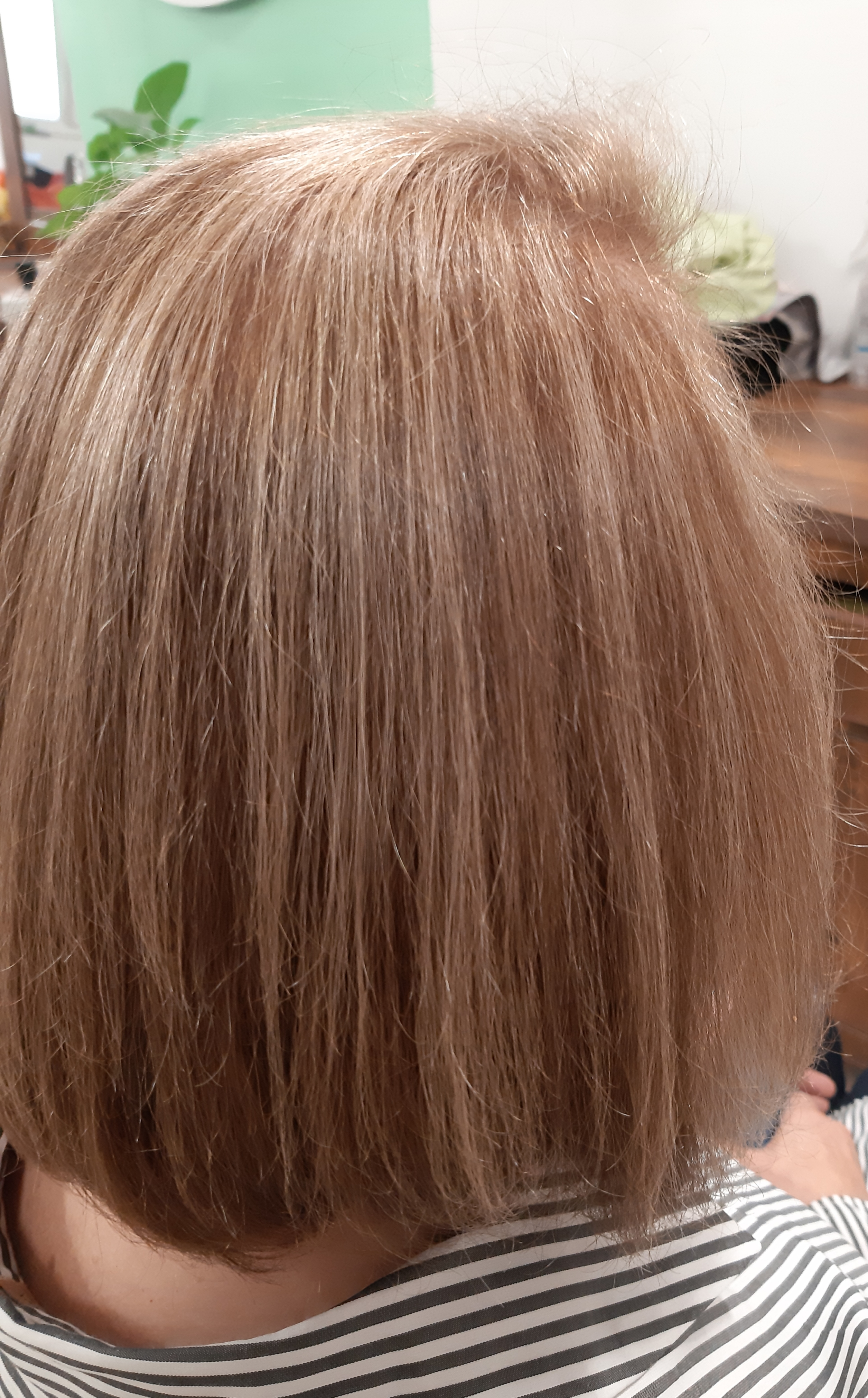 سالن تهمینه سعیدی