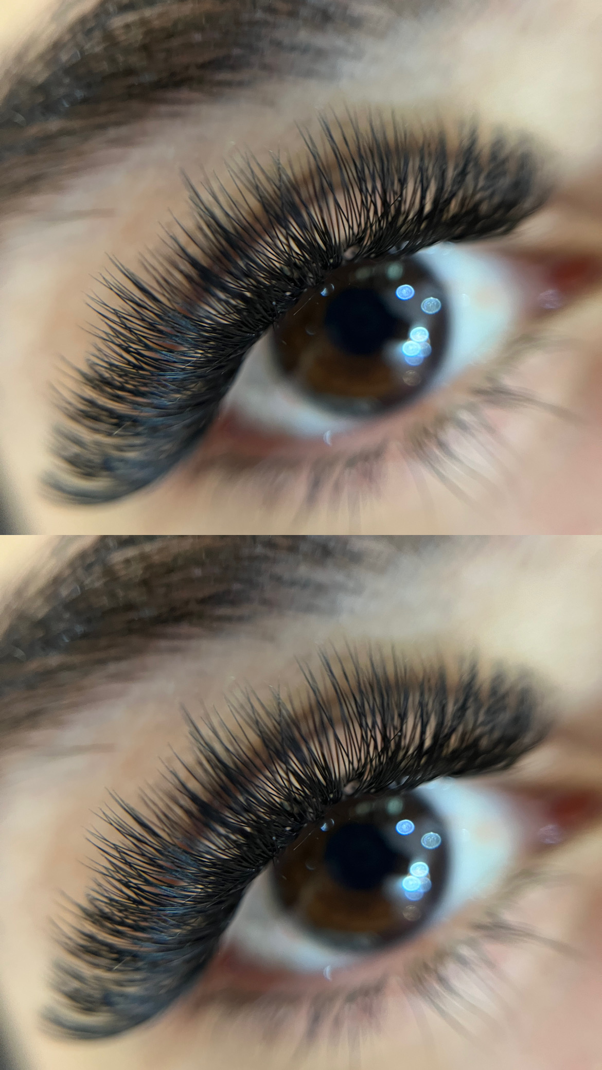 تخفیف‌تمامی خدمات مژه