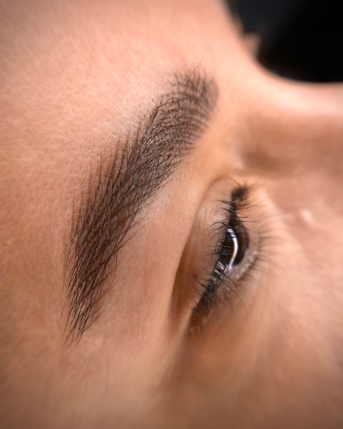 مدل میکروبلیدینگ  خط چشم و شیدینگ لب توسط مستر