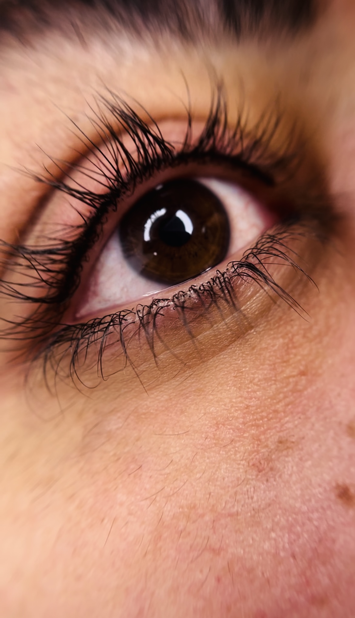 مدل ارایش دائم