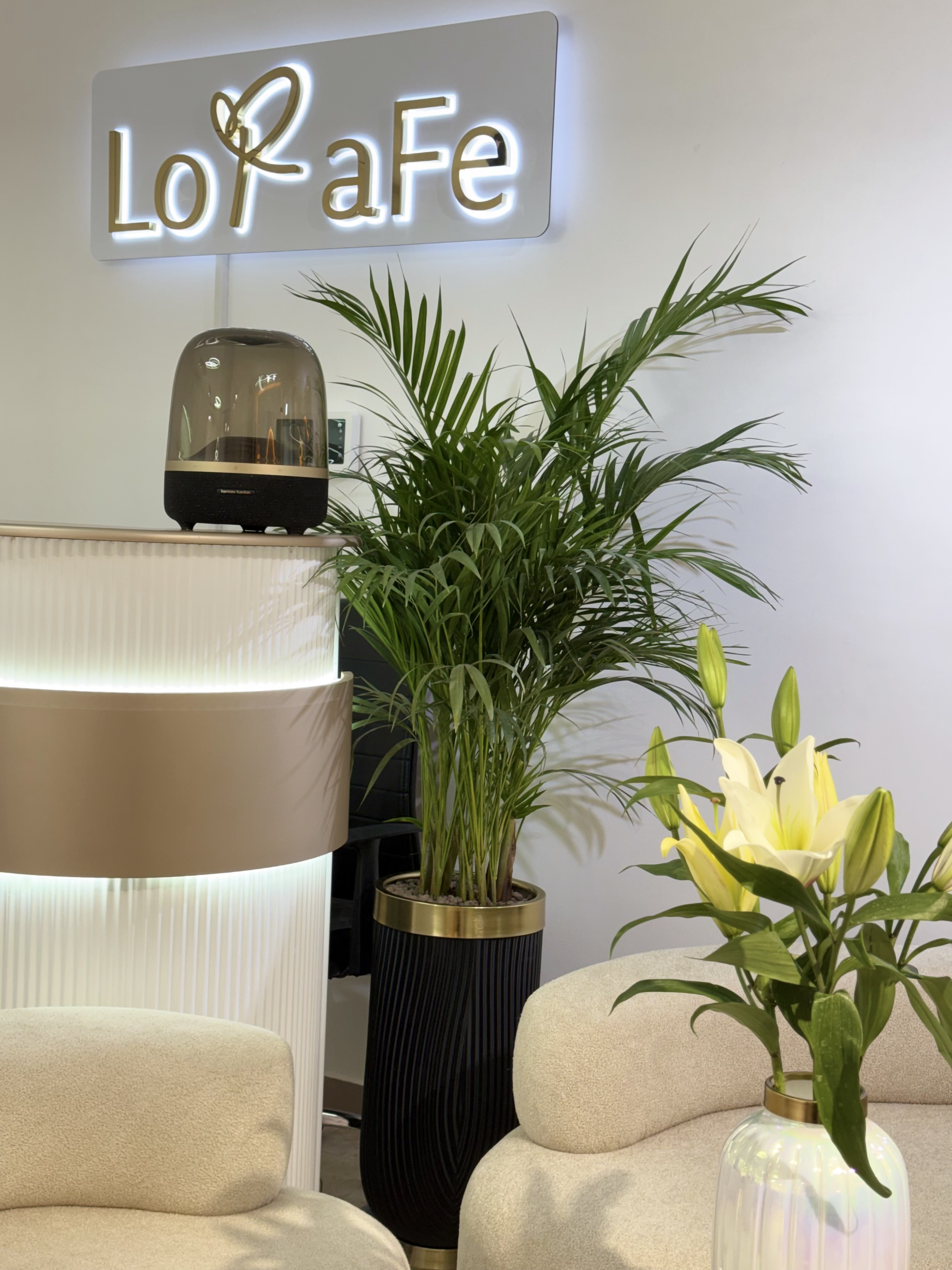 استخدام نیرو