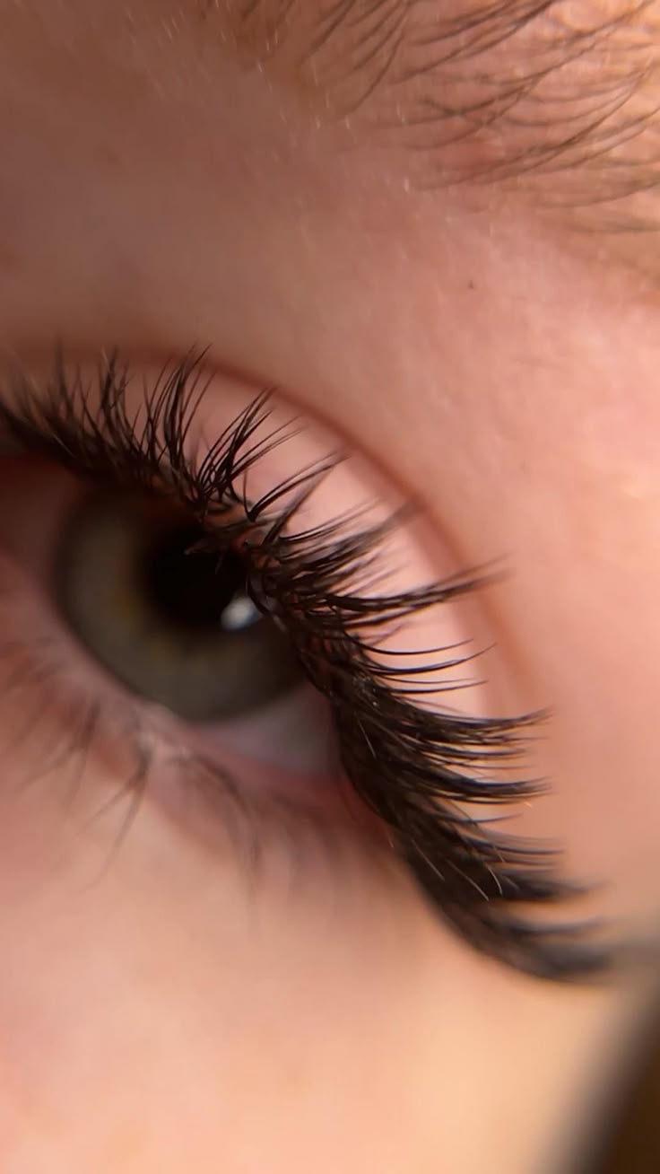 اموزش رایگان دوره‌ی مژه صفر تا صد